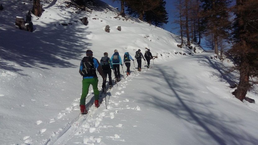 2016-02-06_04 zwischen Waldbode und Alp Gapfahl